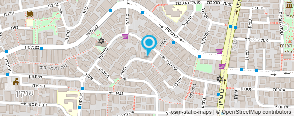 מפת הגעה אל ריקי- אסטרולוגית ומנחת מסיבות