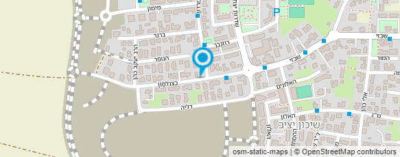 מפת הגעה אל סלון בועז