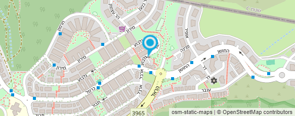 מפת הגעה אל פיינשטיין אליעזר לואיס