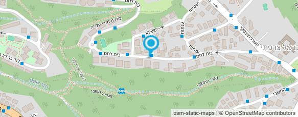 מפת הגעה אל תרגום ועריכה לשונית