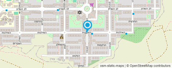 מפת הגעה אל איריס ולבנת