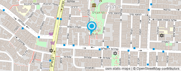 מפת הגעה אל איריס רדקו דיקור סיני