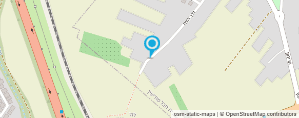 מפת הגעה אל אלון - צביעה דקורטיבית