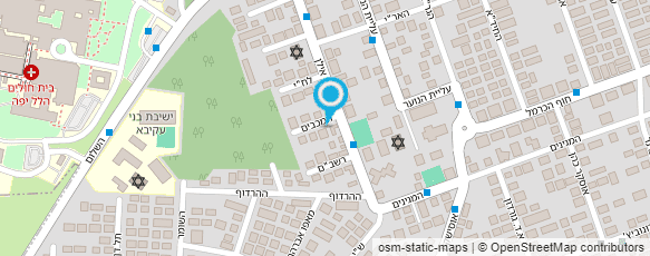 מפת הגעה אל אלינה מירקין מילים ומעשים