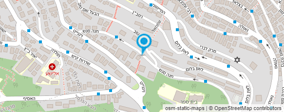 מפת הגעה אל סלון תהילה