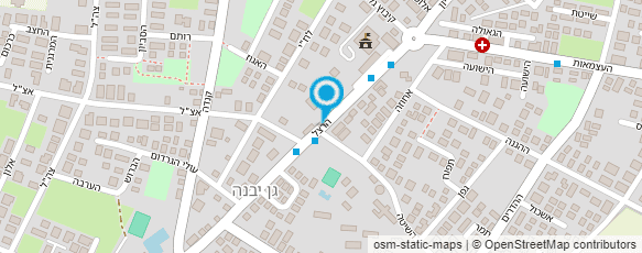 מפת הגעה אל ראובן גינון