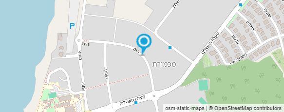 מפת הגעה אל כרמית חסין