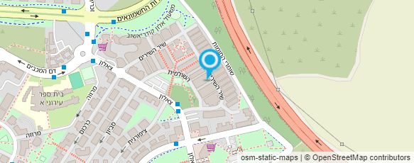 מפת הגעה אל אמ.אס.אמ - שרון