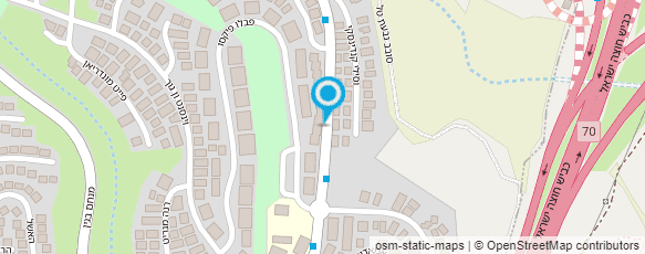 מפת הגעה אל לדויזן- שלטים אלקטרוניים