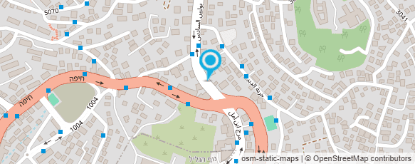 מפת הגעה אל פרחי נצרת