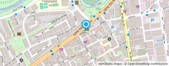 מפת הגעה אל המכללה לדמיון מודרך וNLP