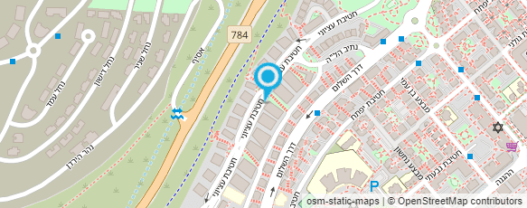 מפת הגעה אל אירינה פרוביז-קלינאית תקשורת