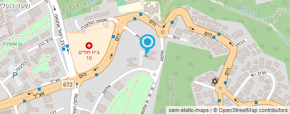 מפת הגעה אל הגלריה של אמירה