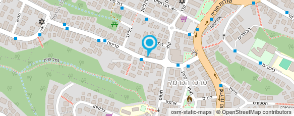 מפת הגעה אל גירינגר שרותי מידע