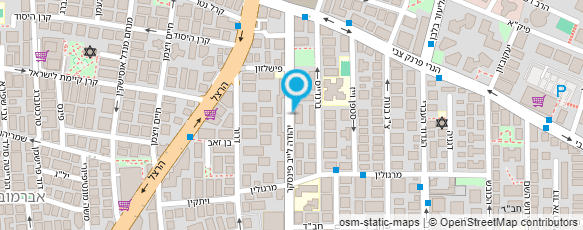 מפת הגעה אל אלינור מומחית לכף היד