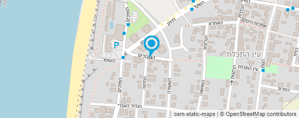 מפת הגעה אל רונה מנור - הומיאופתיה קלאסית