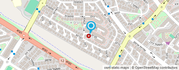 מפת הגעה אל איריס רפלקסולוגיה