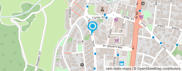 מפת הגעה אל ד"ר וסים סלמאן