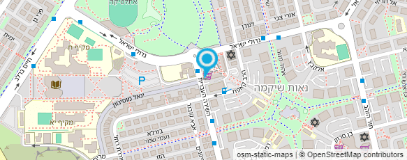 מפת הגעה אל דומינו'ס פיצה