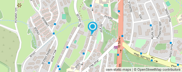 מפת הגעה אל שגשוג - יעוץ אימוני לעסקים