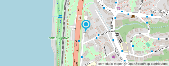 מפת הגעה אל זיו תמלול וקלדנות