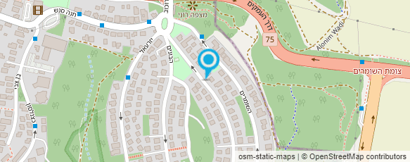 מפת הגעה אל פניה שפירו - שיטת אלבאום