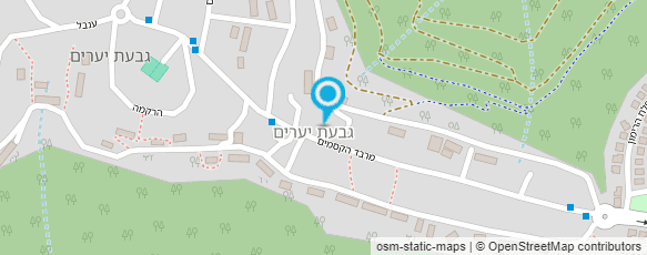 מפת הגעה אל א.ש שרותי מחקר בע"מ