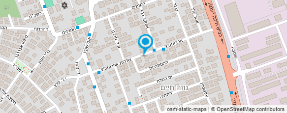 מפת הגעה אל נגה ספקטור- פסיפס ופיסול