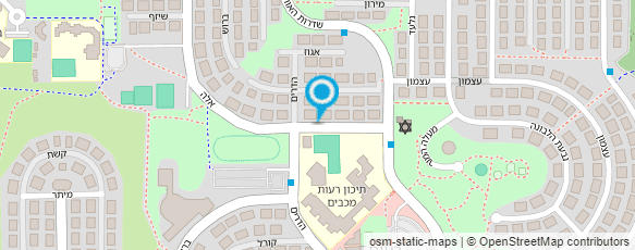 מפת הגעה אל דינה פלדמן