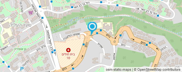 מפת הגעה אל איריס בירן- מאיירת