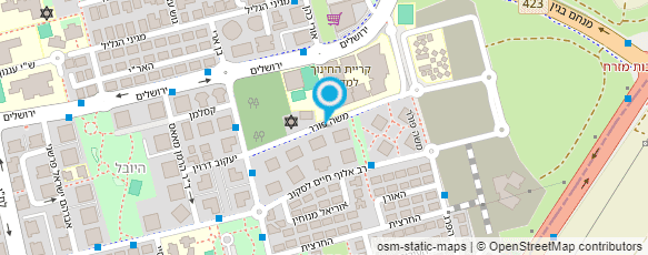 מפת הגעה אל נטמישן