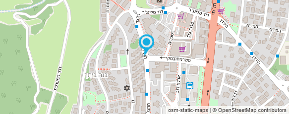 מפת הגעה אל סשה אלכוב צילום ; אמנות