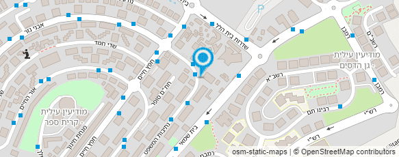 מפת הגעה אל דן לימוזין טורס בע"מ