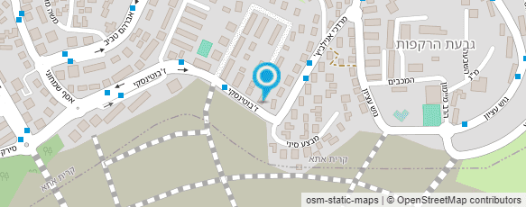 מפת הגעה אל רז דודו- שרותי מחשוב מפת הגעה אל רז דודו- שרותי מחשוב