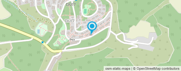 מפת הגעה אל התפתחות בתנועה - שיטת אלבאום