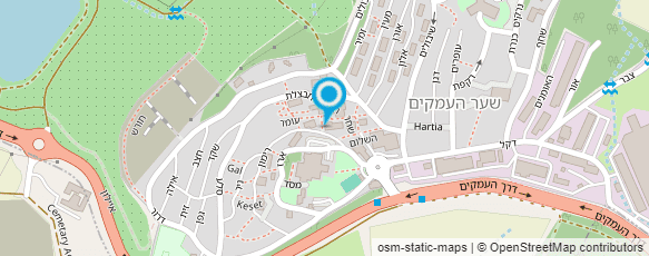 מפת הגעה אל יהונתן קאראס - מטפל בדיקור סיני