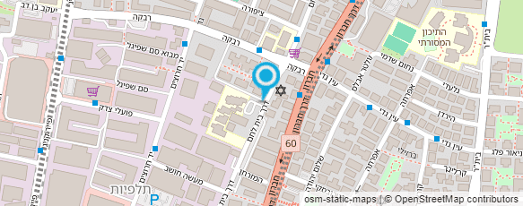 מפת הגעה אל דוד וויץ שירותי מחשב