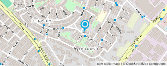 מפת הגעה אל דקל התמר