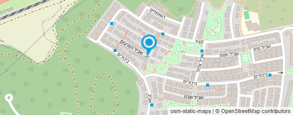 מפת הגעה אל ורוניקה נגינה בנבל לאירועים