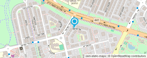 מפת הגעה אל לאה ספיר