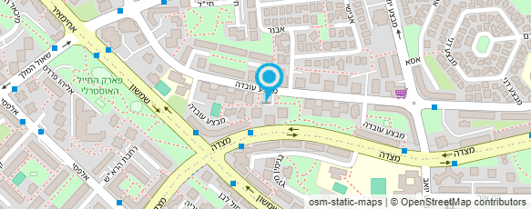 מפת הגעה אל אומנות התפילין ויסודותיה