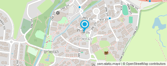 מפת הגעה אל וירג'יניה לנצינגר