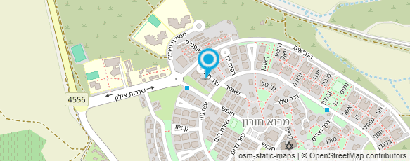 מפת הגעה אל שילה תעוד באומנות