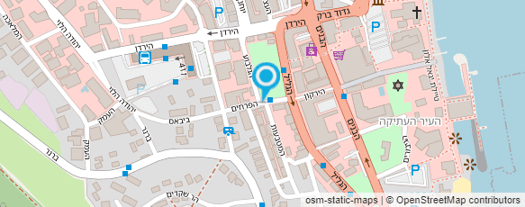 מפת הגעה אל פלאפל ענבי