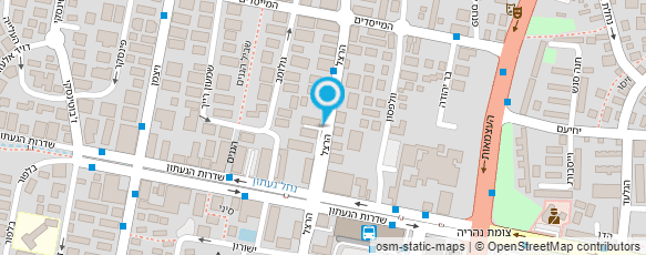 מפת הגעה אל גרוס עירית פיזיותרפיה לילדים