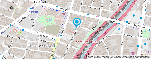 מפת הגעה אל מנהיגות עסקית צעירה