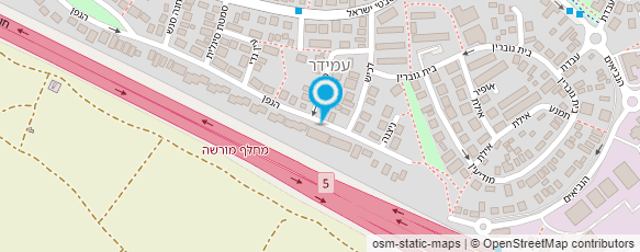 מפת הגעה אל ריקי לוי ציור ופיסול