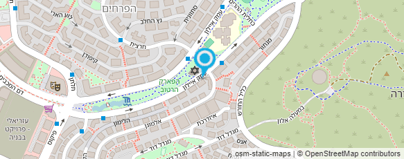 מפת הגעה אל שירלי קוסמטיקס