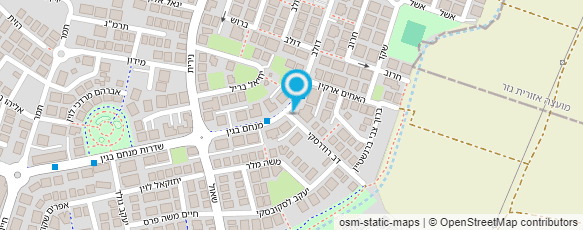 מפת הגעה אל מאיר סלומון-צייר