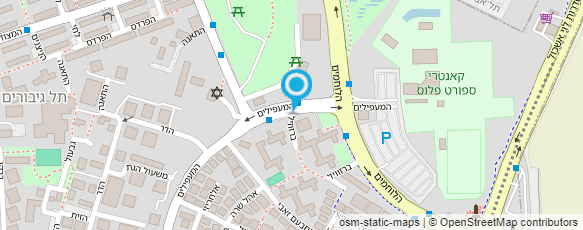 מפת הגעה אל סלון ראנו